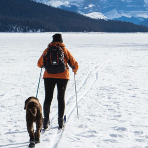 skitur med hund