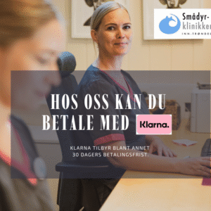 resepsjonist som kikker mot kamera. tekst med info om at man kan betale med Klarna på Smådyrklinikken.